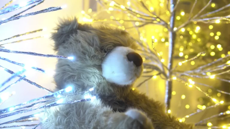 Décorations de noël HCS