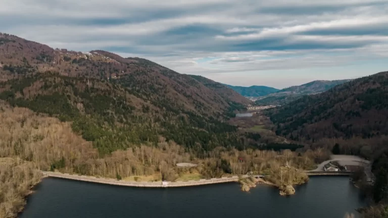 Lac d'Alfeld - Log Studio